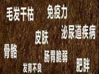 海口事玛广告有限公司