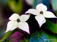 海口事玛广告有限公司