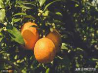 海口事玛广告有限公司
