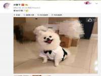 海口事玛广告有限公司