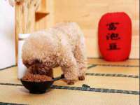 海口事玛广告有限公司
