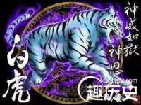 海口事玛广告有限公司
