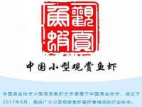 海口事玛广告有限公司
