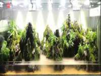 海口事玛广告有限公司