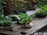 海口事玛广告有限公司