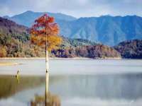 海口事玛广告有限公司