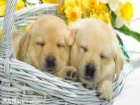 海口事玛广告有限公司