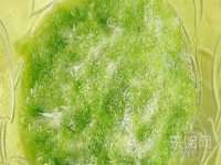 海口事玛广告有限公司