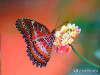 海口事玛广告有限公司