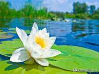 海口事玛广告有限公司
