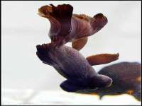 海口事玛广告有限公司