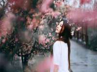 海口事玛广告有限公司
