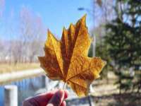 海口事玛广告有限公司