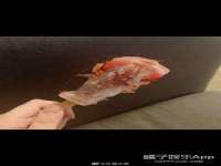 海口事玛广告有限公司